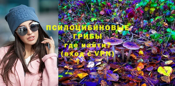твердый Абаза