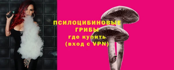 твердый Абаза