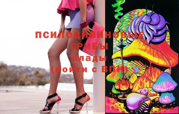 стаф Абинск