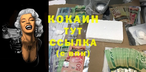стаф Абинск