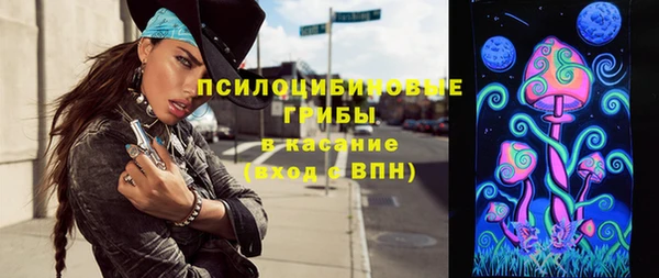 твердый Абаза
