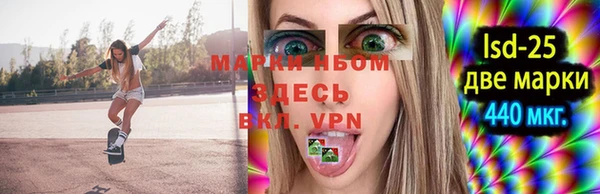 твердый Абаза