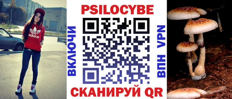 Псилоцибиновые грибы прущие грибы Алагир